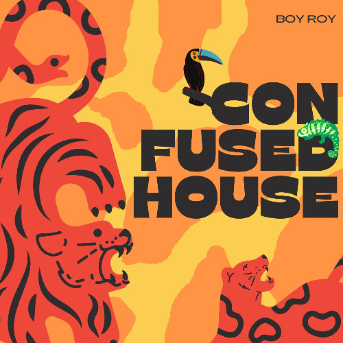 Confused House Mix (Afro, Funk, Acid, Drums)