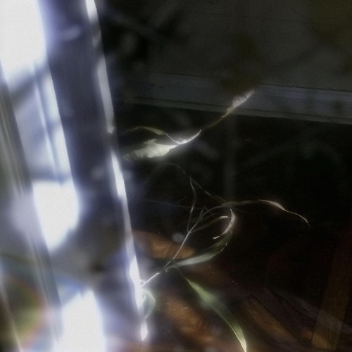 Premiere : music lovers anonymous - I Can Feel You Through the Screen [katharsis]
