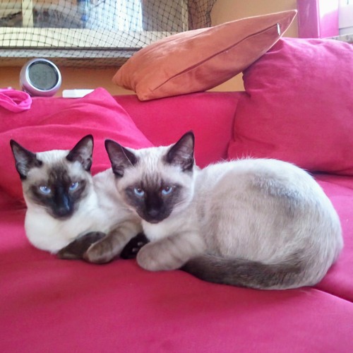 Hard Techno Core Mix 3 140 - 160Bpm Alpha 4.WAV