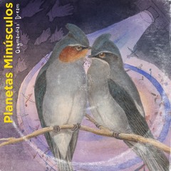 Satelites Minúsculos