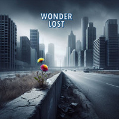 Wonder Lost