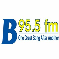 WYJB, B95.5, Albany, NY - ReelWorld ONE AC Tropical