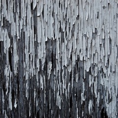 "Lead in the Paint" Freestyle Ft. Hec Saga