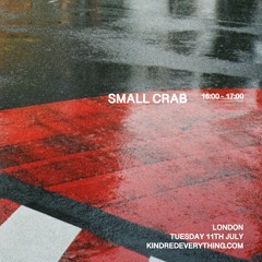 SMALL CRAB 11.7.23