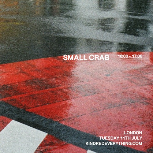 SMALL CRAB 11.7.23