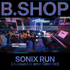 Sonix Run (Acoustic and Gentle)