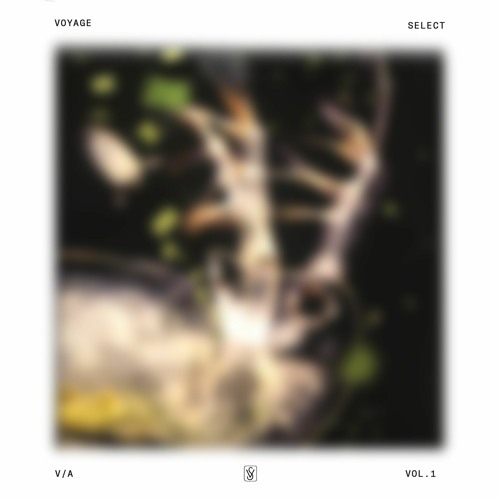 Olivia -  Relief