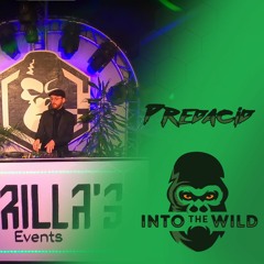 🌴🦍 IntoTheWild - Predacid 🦍🌴