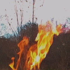 Flying with the moon