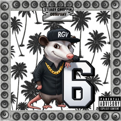 RGV6 Various RGV 956 Artist Mixtape