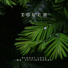 Touch (ft. Mr SuicideDoors)