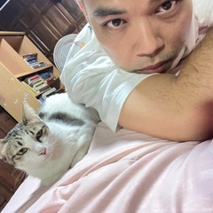 นวลเจ้าแมวน้อย