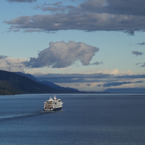 cover of glue song by beabadoobee