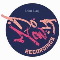 Do It Now Recordings Stereo 005 Mixed By Brian Blaq