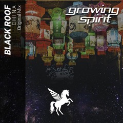 Black Roof - China (Original Mix)