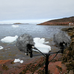 Rivage calme avec iceberg à Akunnaaq (68.74603°N, 52.33506°W)