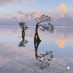 calm as the sea
