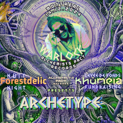 ARCHETYPE-(Forestdelic Night)