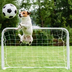 38M The Greenest Green