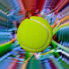 Zimple - 131 BPM - Em