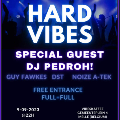 HARD VIBES Promomix ( Mixed By Hardvibes Residents )