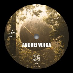 PREMIERE: Andrei Voica - Ninja [CRPT032]