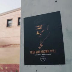 Walkdown Will - What It Is