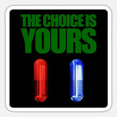 Alice D. - The red pill (Down the rabbit hole) Panthera Christmas Frieda's Büxe 24 Selection