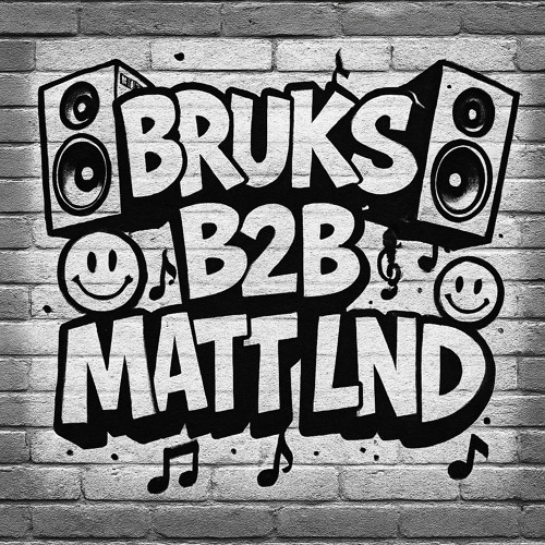 Bruks b2b Matt Lnd