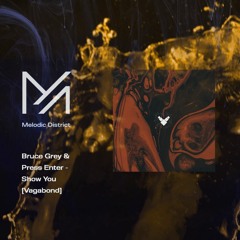 PREMIERE: Bruce Grey & Press Enter - Show You [Vagabond]