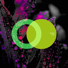 Seleck "HAPPINESS" (Area Verde)