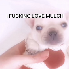 I FUCKING LOVE MULCH