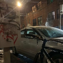 QUIET STORM - SHAKES