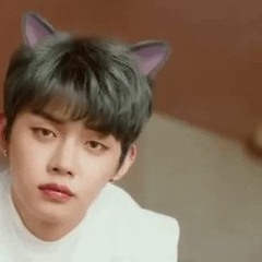 TXT - Cat & Dog (slowed and reverb)