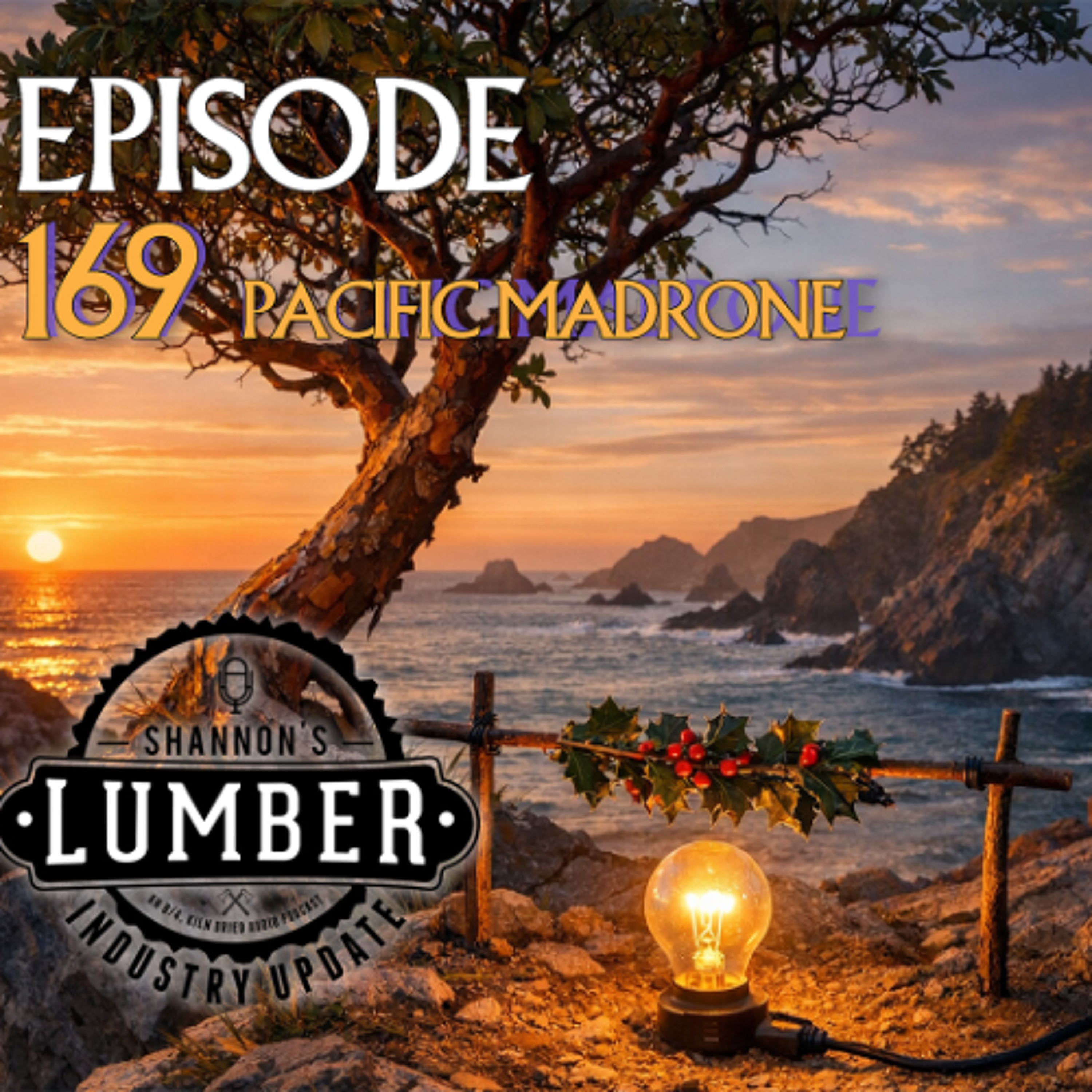 169 - Pacific Madrone