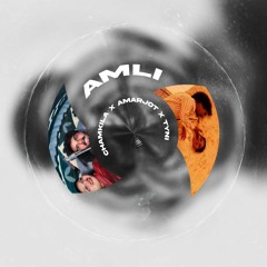 AMLI - Chamkila X Amarjot X THE TYNI