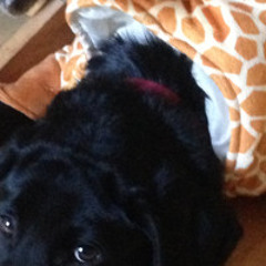 Tory Lanez - Initiation (Raava and LMC Edit)