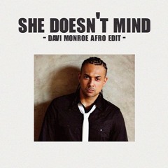 Sean Paul - She Doesn't Mind (Davi Monroe Remix) [FREE DL]