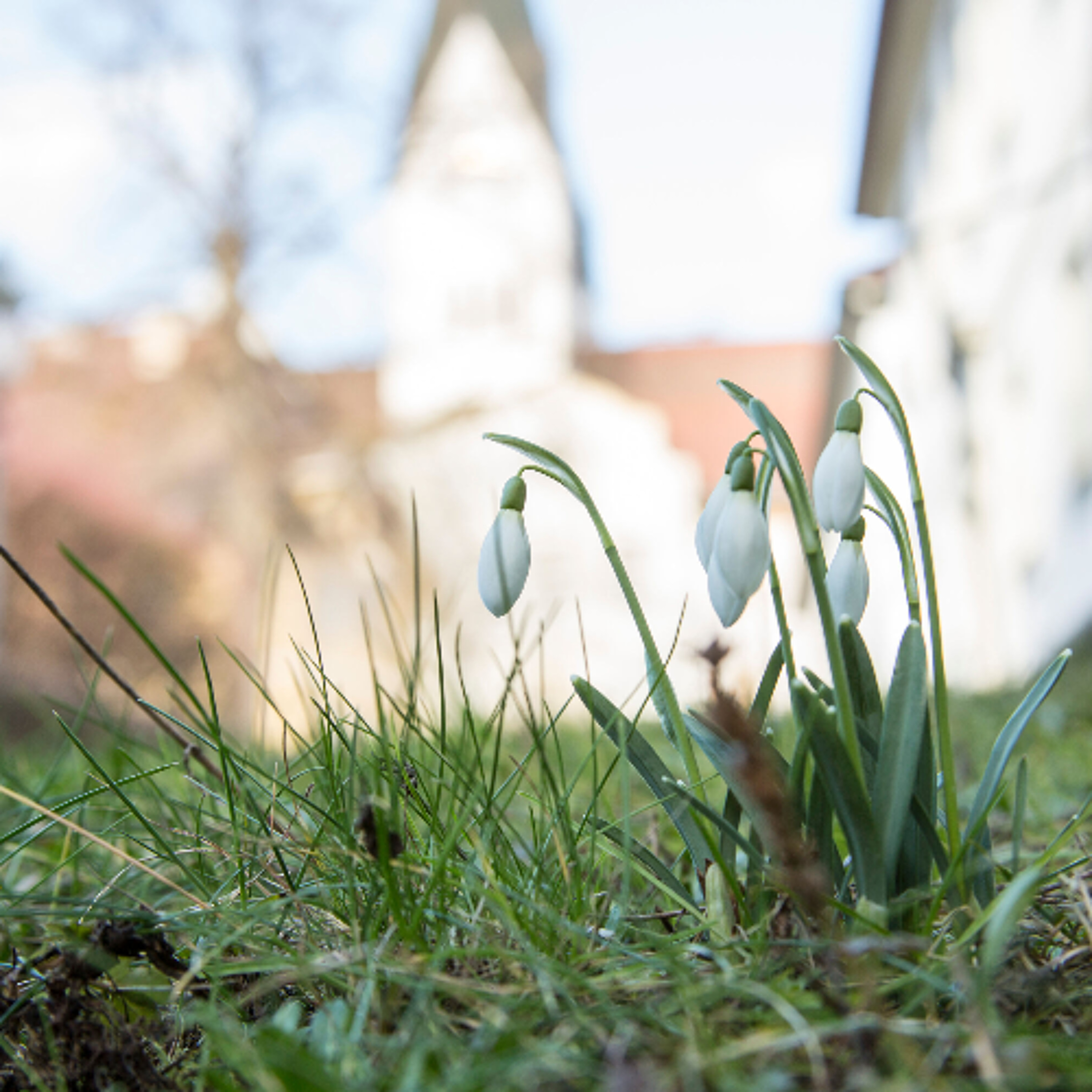 Der Sonntag-Morgen vom 01.03.26