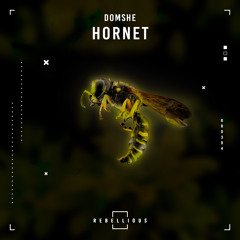 Hornet
