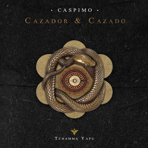 Caspímo - Boana Cinerascens