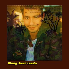 SHAPE OF YOU - WJL cover