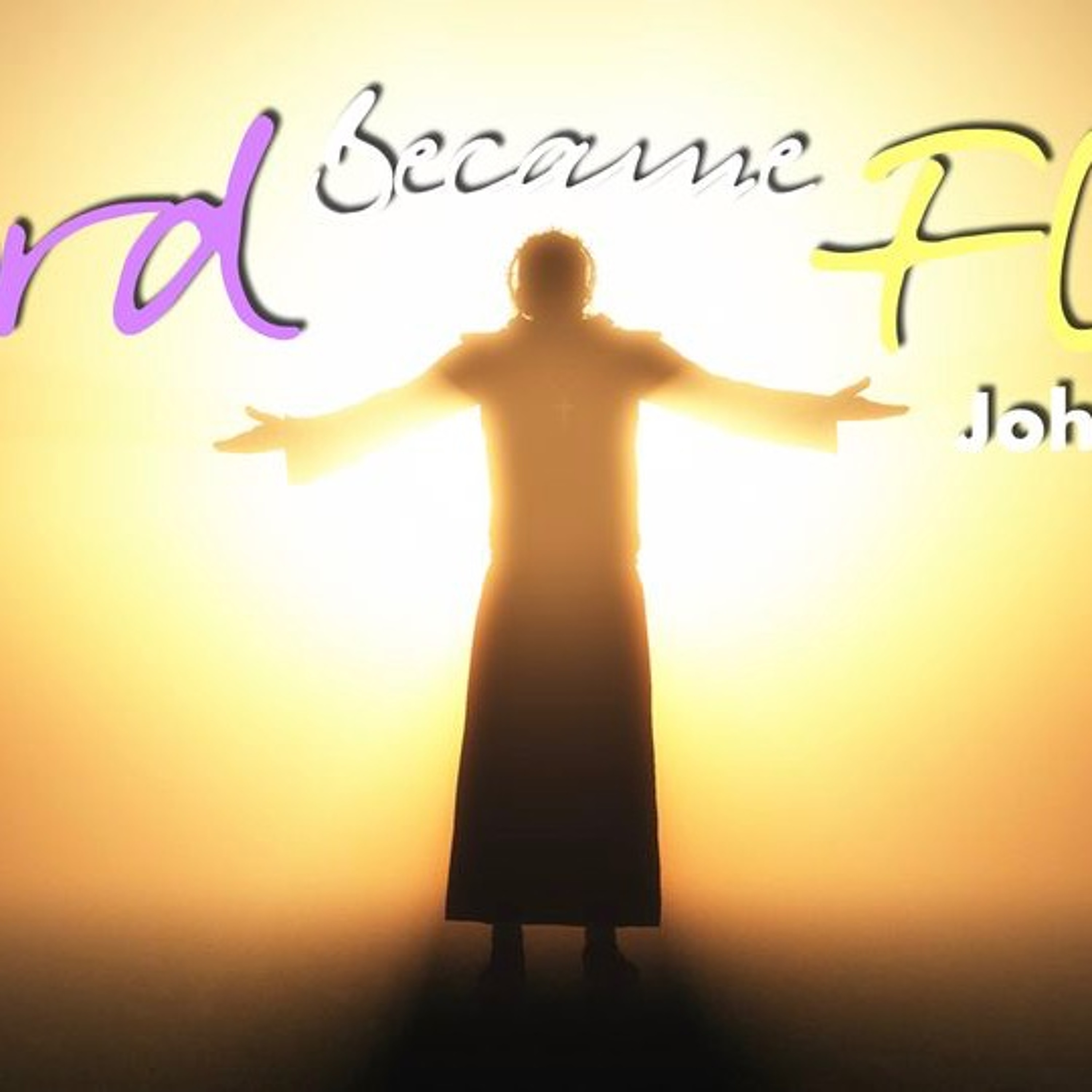The Word Became Flesh - John 1:14-18 - Matthew Niemier episode artwork