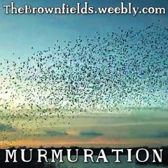 Murmuration