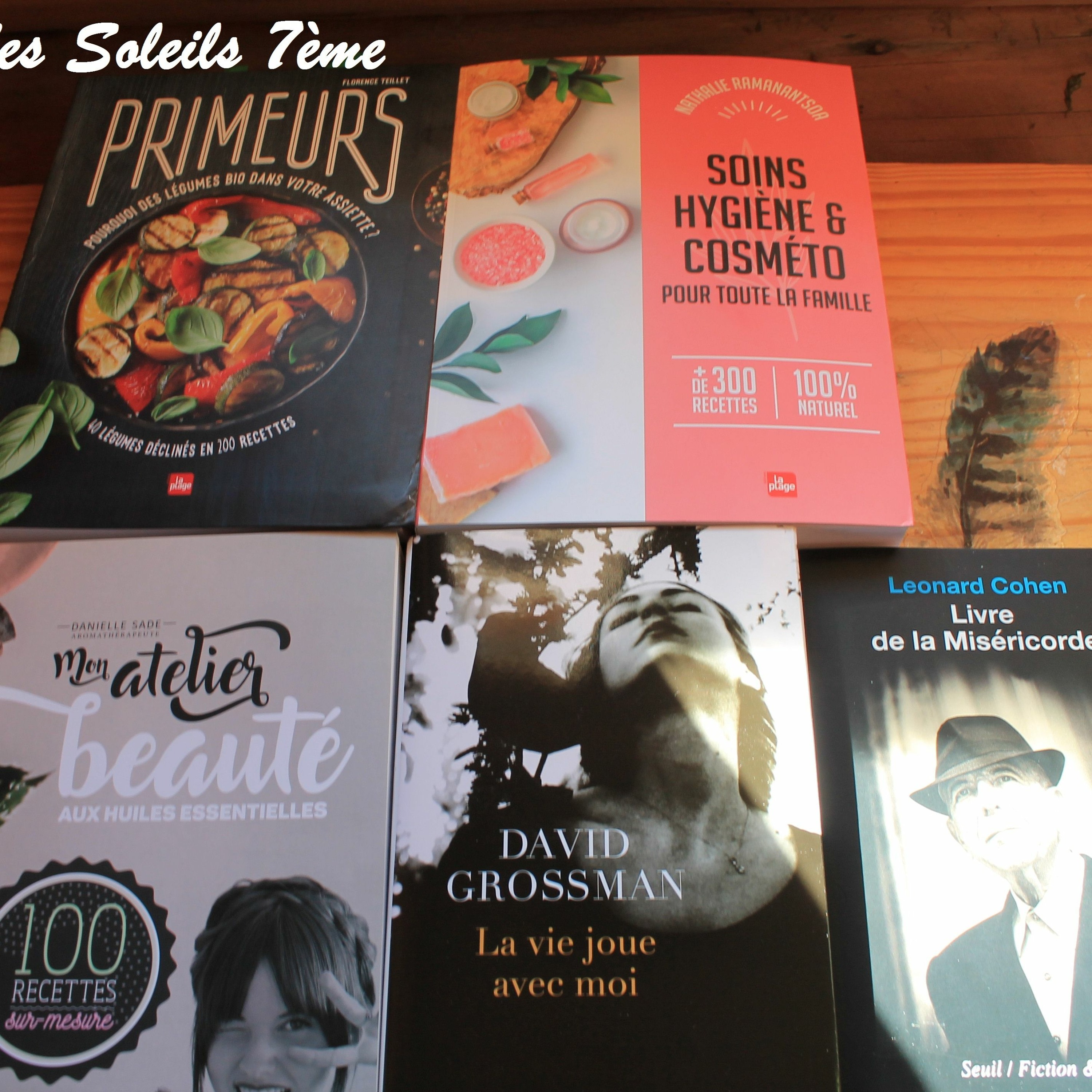 J'ecrirai Des Soleil 7eme