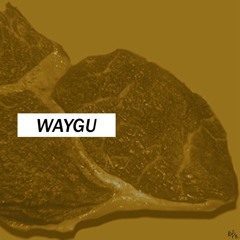 WAYGU INSTRUMENTAL