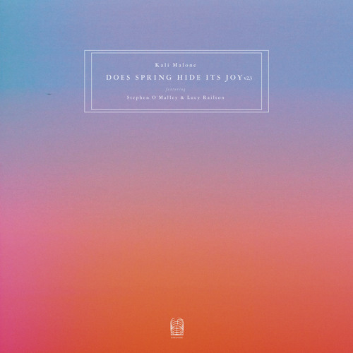 Does Spring Hide Its Joy v2.3 (feat. Stephen O'Malley & Lucy Railton)
