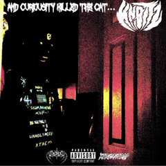KNØTTZ - PUT UP A WALL