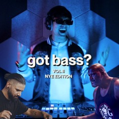 got bass? vol 2 (nye 2024 edition)