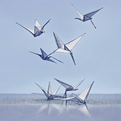 Paper Cranes